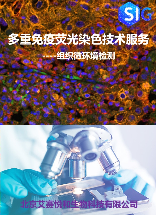 多重免疫荧光染色技术服务