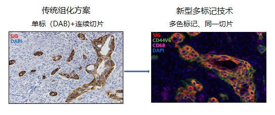 对比图.png